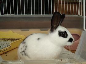 20070628-01.jpg