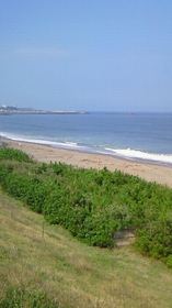 20080910-02.jpg