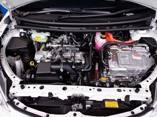 DSC00250s.jpg