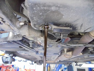 DSC03493-s.jpg