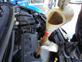 DSC03502-s.jpg