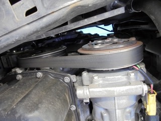 DSC03504-s.jpg