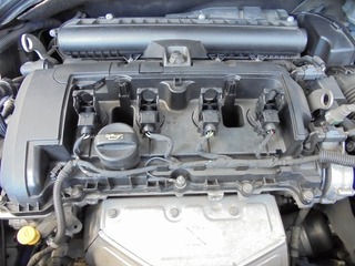 DSC03531-s.jpg