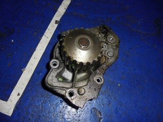 DSC04769-s.jpg
